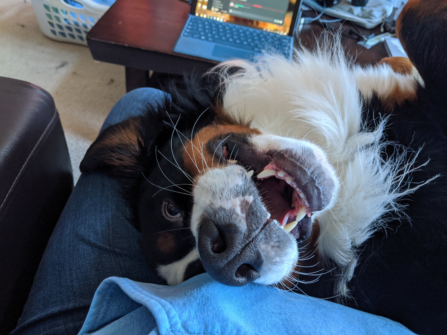 Berner-Garde Donation